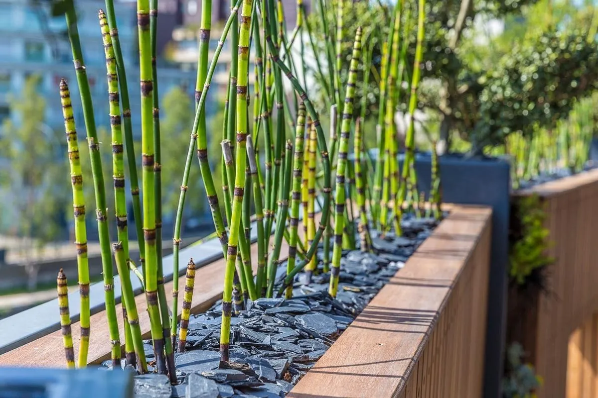 Crea Bati Jardin Paysagiste A Rennes Jardinieres Bois 3