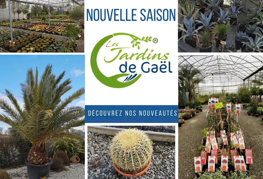 Crea Bati Jardin Paysagiste A Rennes Img 20