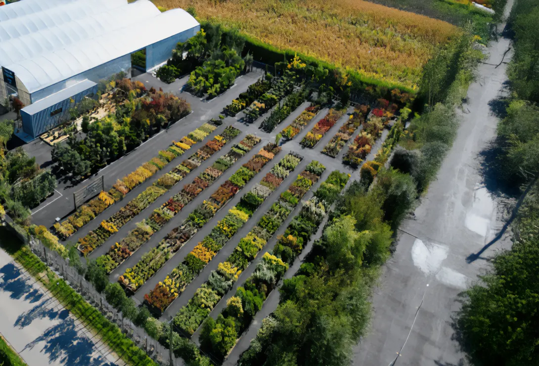 Crea Bati Jardin Paysagiste A Rennes Img 5